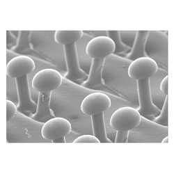 Scotch-Brite™ 7000045864 Firm Density Regular Disc Pad Holder, 2 in Dia Pad, Hook and Loop Attachment