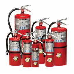 BUCKEYE FIRE EQUIPMENT 11340 10LB Fire Extinguisher, Dry Chemical Extinguisher, Class: A/B/C, UL Rating: 4-A:80-B:C