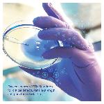 Kimberly-Clark* 55082 Disposable Gloves, M, Nitrile™ Polymer, Purple, 9-1/2 in L, Non-Powdered, Textured, 6 mil THK, Application Type: Exam/Medical Grade, Ambidextrous Hand